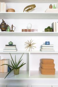 Bookshelf styling. plants living room decor. target home