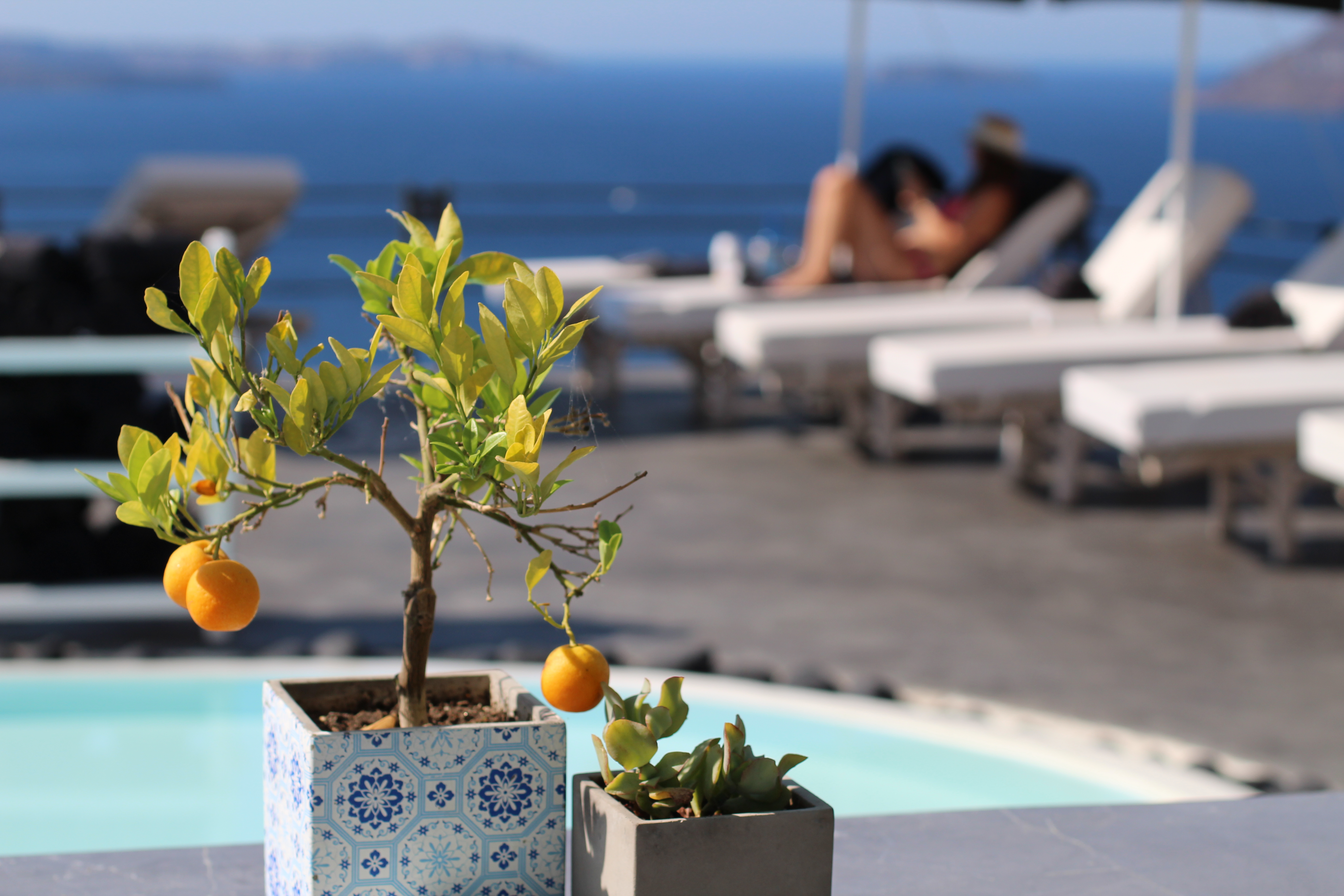 where to stay in Oia. Andronis hotel. Poolside in Santorini. Kumquat