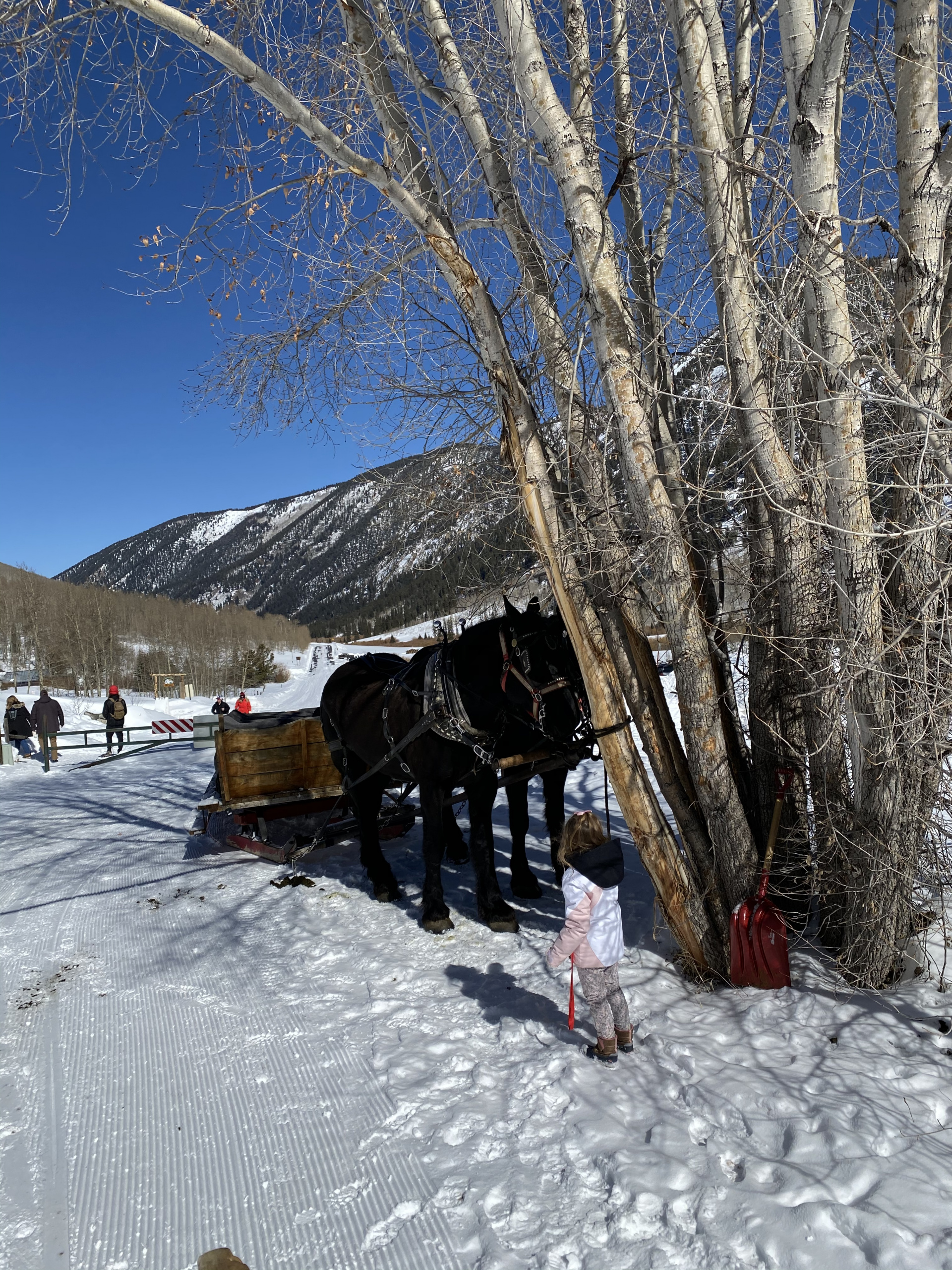 horse sleigh ride, colorado, off the beaten path travel usa