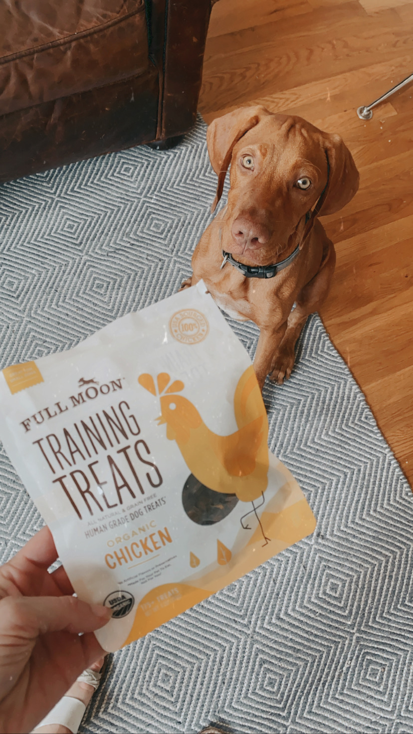 Best puppy training treats, human grade puppy treats, Vizsla puppy training 