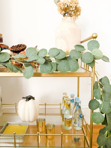 How to style a fall bar, what you need to host guests this fall, thanksgiving cocktails, what wines to drink this fall, decorating with eucalyptus