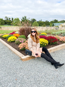 Fall sweater dress outfits. Sweater dress and black high knee boots, salamander resort and spa, fall outfit ideas, fall dress ideas, finding beauty mom outfit ideas for fall and thanksgiving, what to wear to a wine vineyard