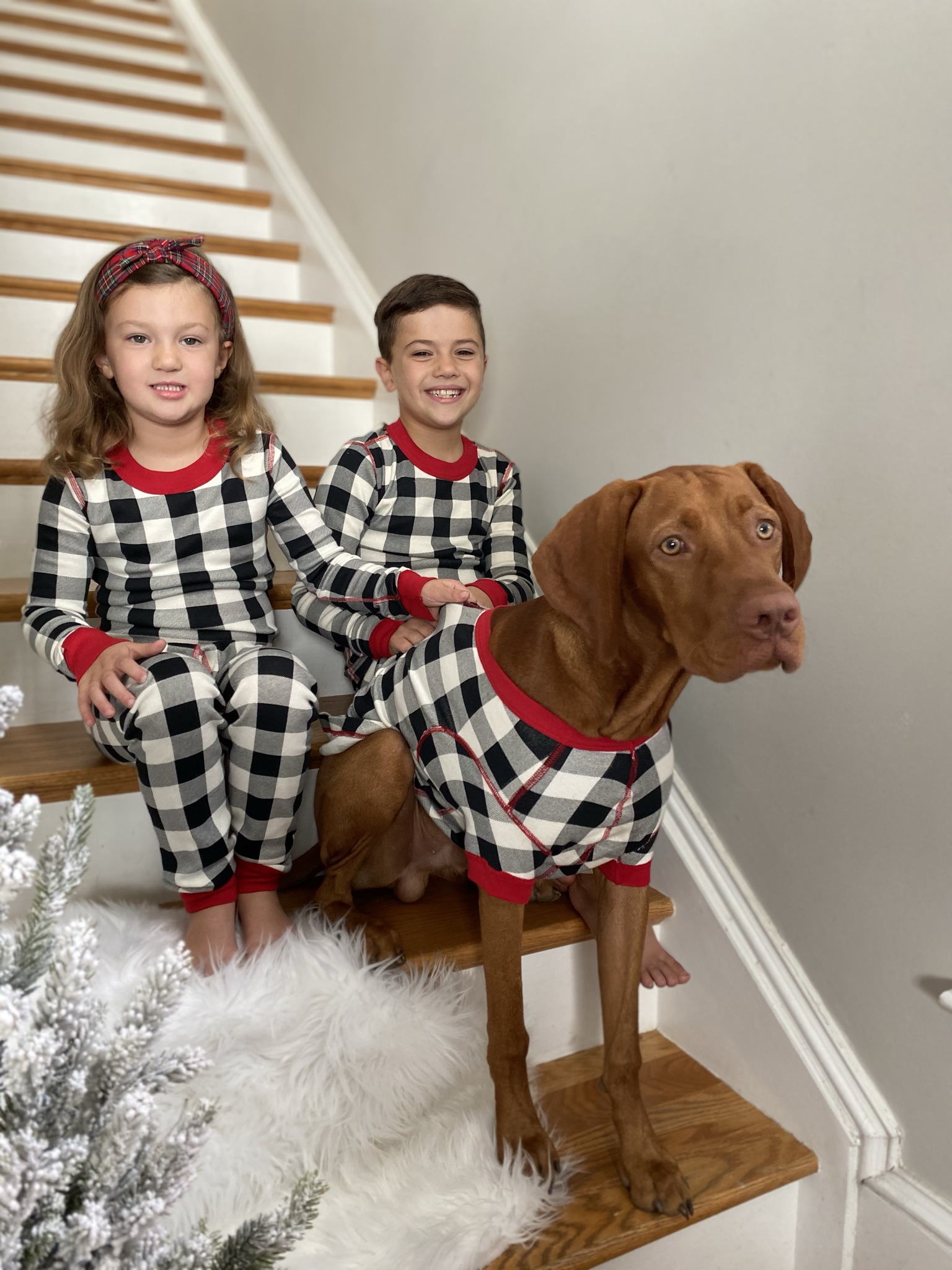 3 family holiday traditions I love, matching family pajamas, holiday pajamas, matching pet pajamas, vizsla puppy first Christmas