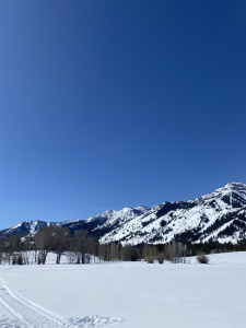 Aspen vs Jackson hole, what’s the difference between Aspen Colorado and Jackson hole Wyoming