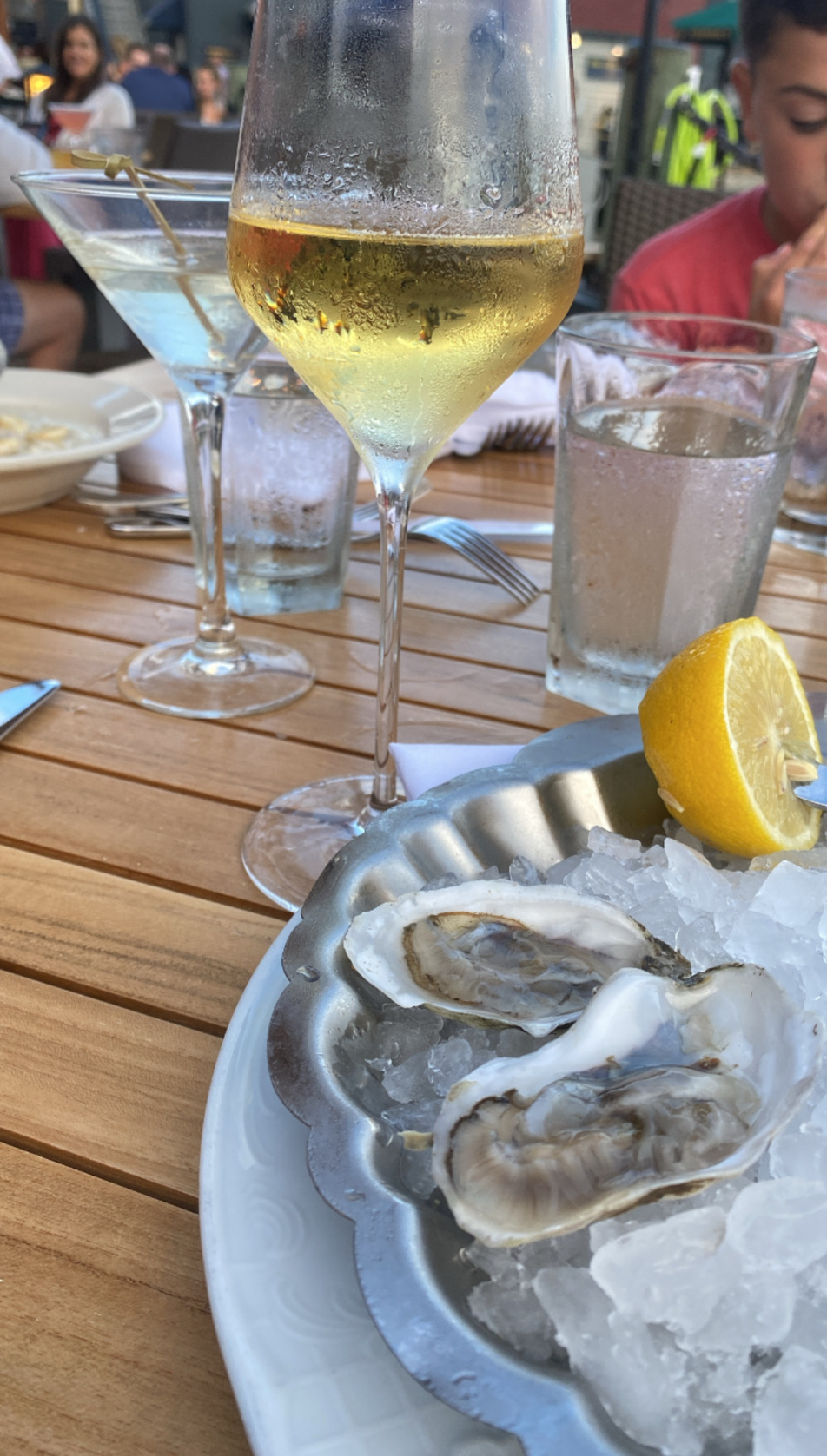 oysters in newport rhode island family vacation